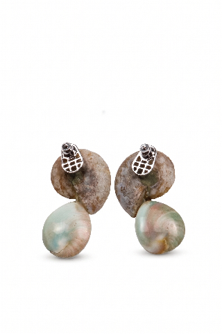 Ammonite Fossil Slice& Shiva Eye Shell - Unique Spiral Design alternate view