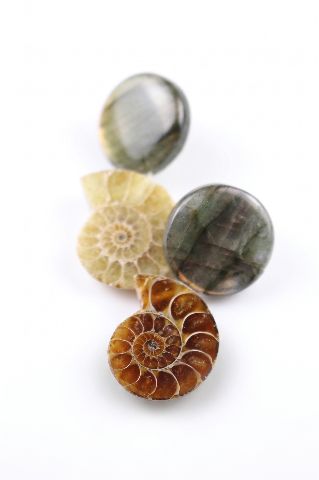 Chrono-Spiral — image 4